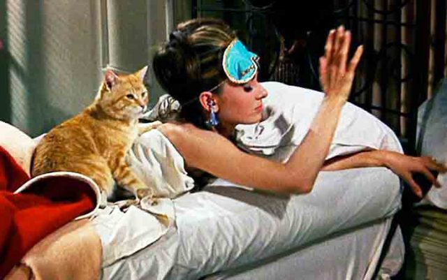 Orangey-colazione-tiffany Orangey, il nome del gatto più conosciuto nel mondo del cinema