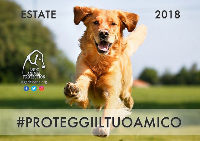 La campagna “Proteggi il tuo amico, Estate 2018”