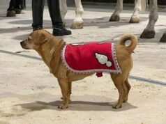 Briciola, una cagnolina in divisa tra le autorità dello Stato Briciola, una cagnolina in divisa tra le autorità dello Stato