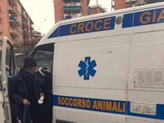 L’amore oltre la morte. Veglia il padrone deceduto e lo difende L’amore oltre la morte. Accanto al padrone deceduto, lo difende