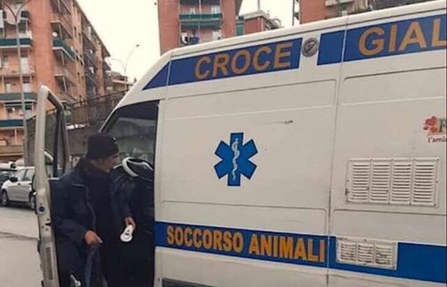 L’amore oltre la morte. Accanto al padrone deceduto, lo difende