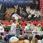 Torna nel weekend World Cats all’RDS Stadium di Genova