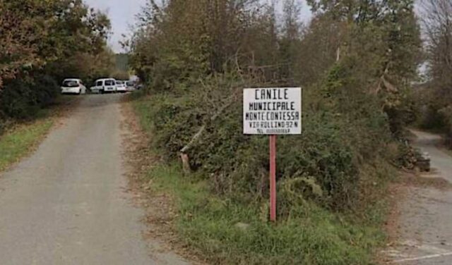 Open day Canile Monte Contessa di Genova: visita guidata