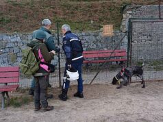 Imperia, allerta bocconi pericolosi vicino alle aree per cani Imperia, allerta bocconi pericolosi vicino alle aree per cani