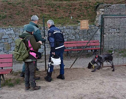 Imperia, allerta bocconi pericolosi vicino alle aree per cani Imperia, allerta bocconi pericolosi vicino alle aree per cani