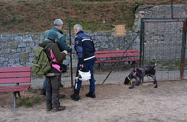 allarme bocconi avvelenati a prino Imperia, allerta bocconi pericolosi vicino alle aree per cani